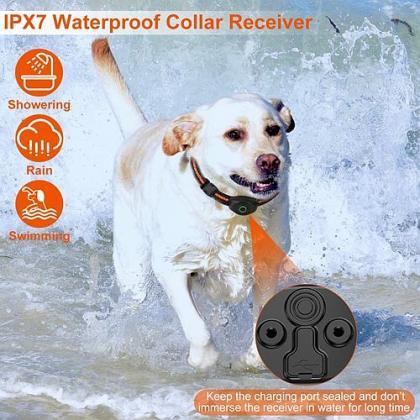 Aquapaw Dog Training Collar: Waterproof,..
