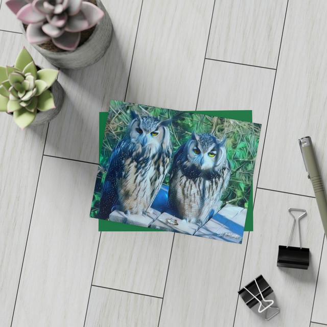 Owl Pair Greeting Card Bundles 10pcs Shipping