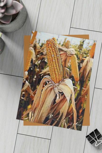 Harvest Time Greeting Card Bundles (10 Pcs) Shipping