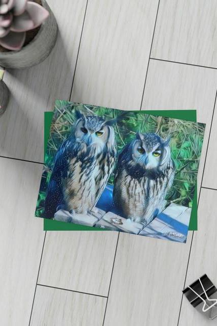 Owl Pair Greeting Card Bundles 10pcs Free Shipping