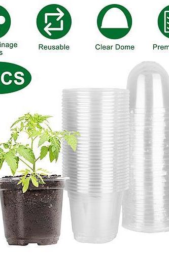 30pcs Plant Nursery Pots Pet Flower Seed Starting Pots Container With Dome With Drainage Holes